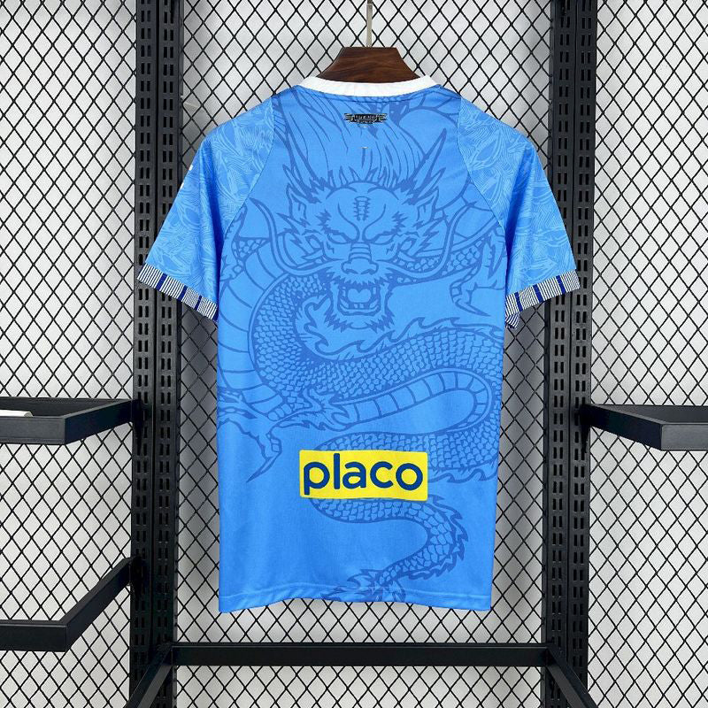 2025-26 Santos Blue Dragon