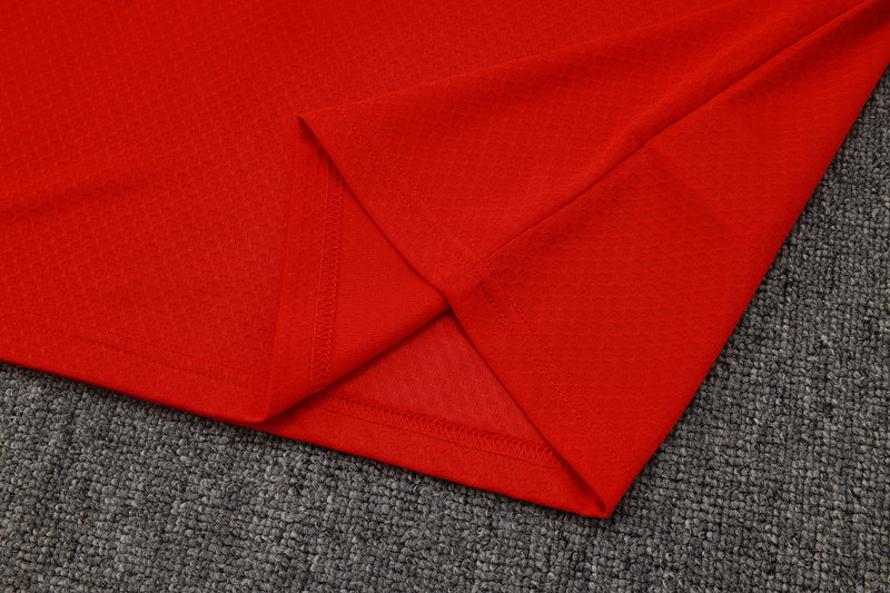 2025-26 Flamengo Short-sleeved shorts training suit