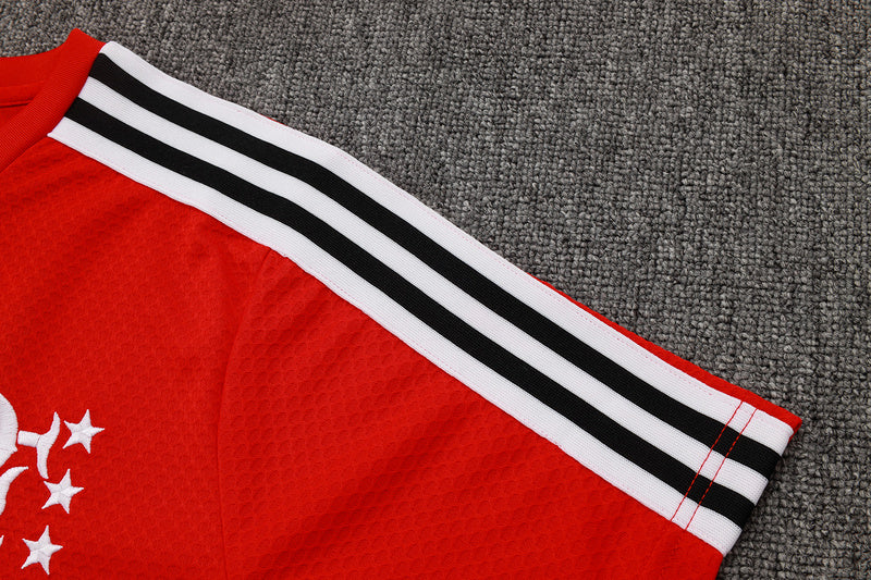 2025-26 Flamengo Short-sleeved shorts training suit