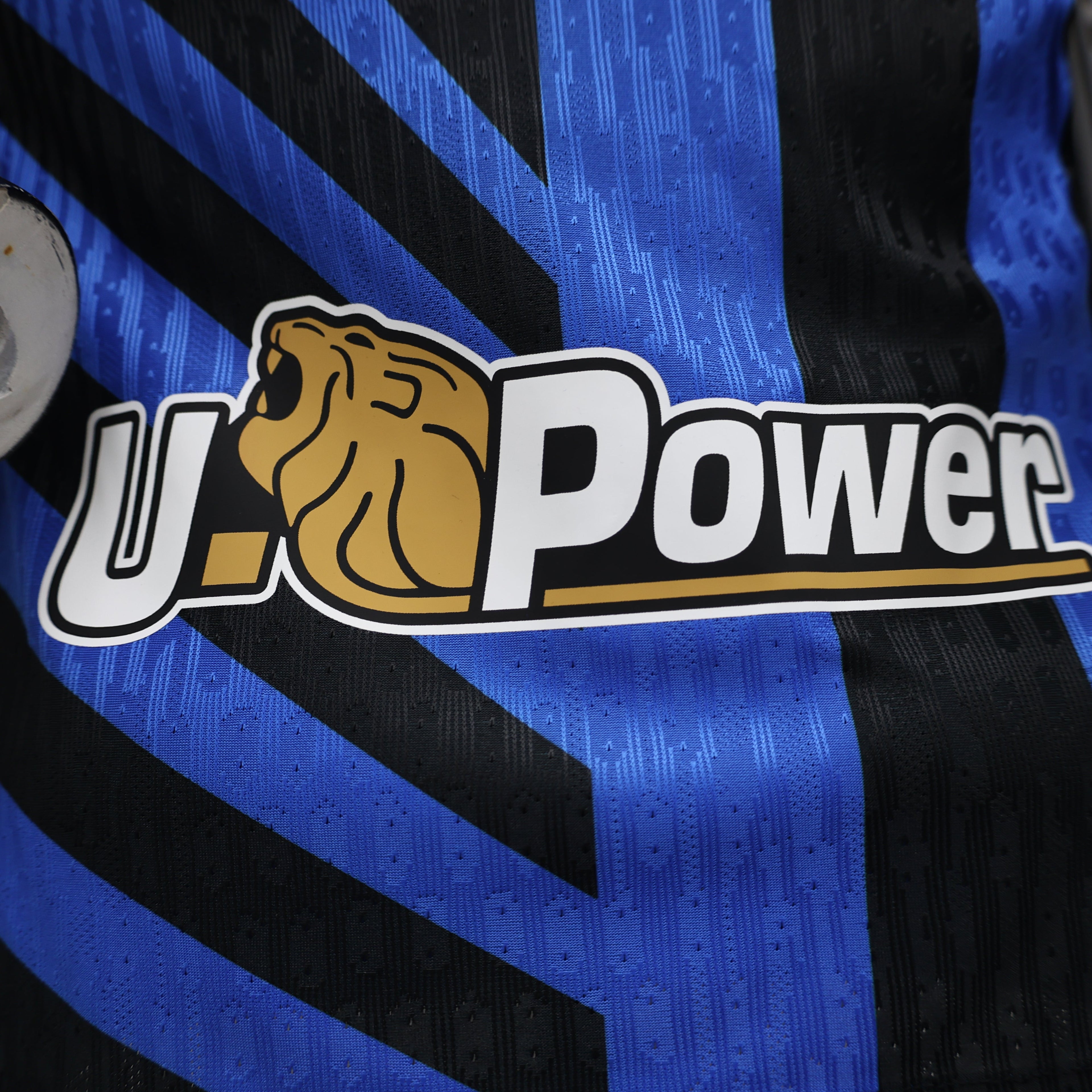 2024-25 Player Inter Milan Home