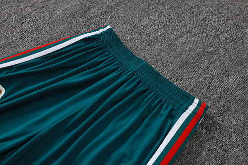 2026-27 Mexico Green Training Suit