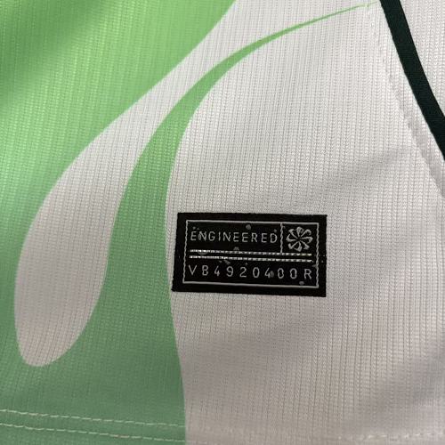 2026-27 Nigeria Away Fan Version