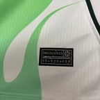 2026-27 Nigeria Away Fan Version