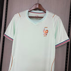 2026-27 France Away Fan Version