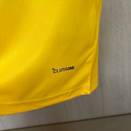 2026-27 Jamaica Special Fan Version