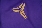 2026-27 Barcelona Purple Training Suit