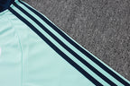 2026-27 Germany Light Blue Training Suit