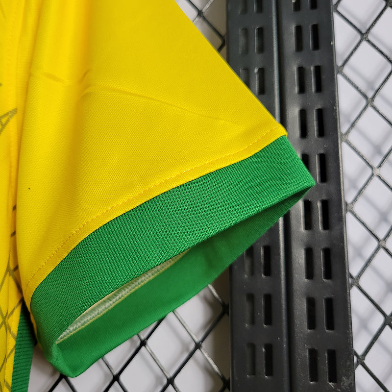 2022-23 Brazil special edition yellow