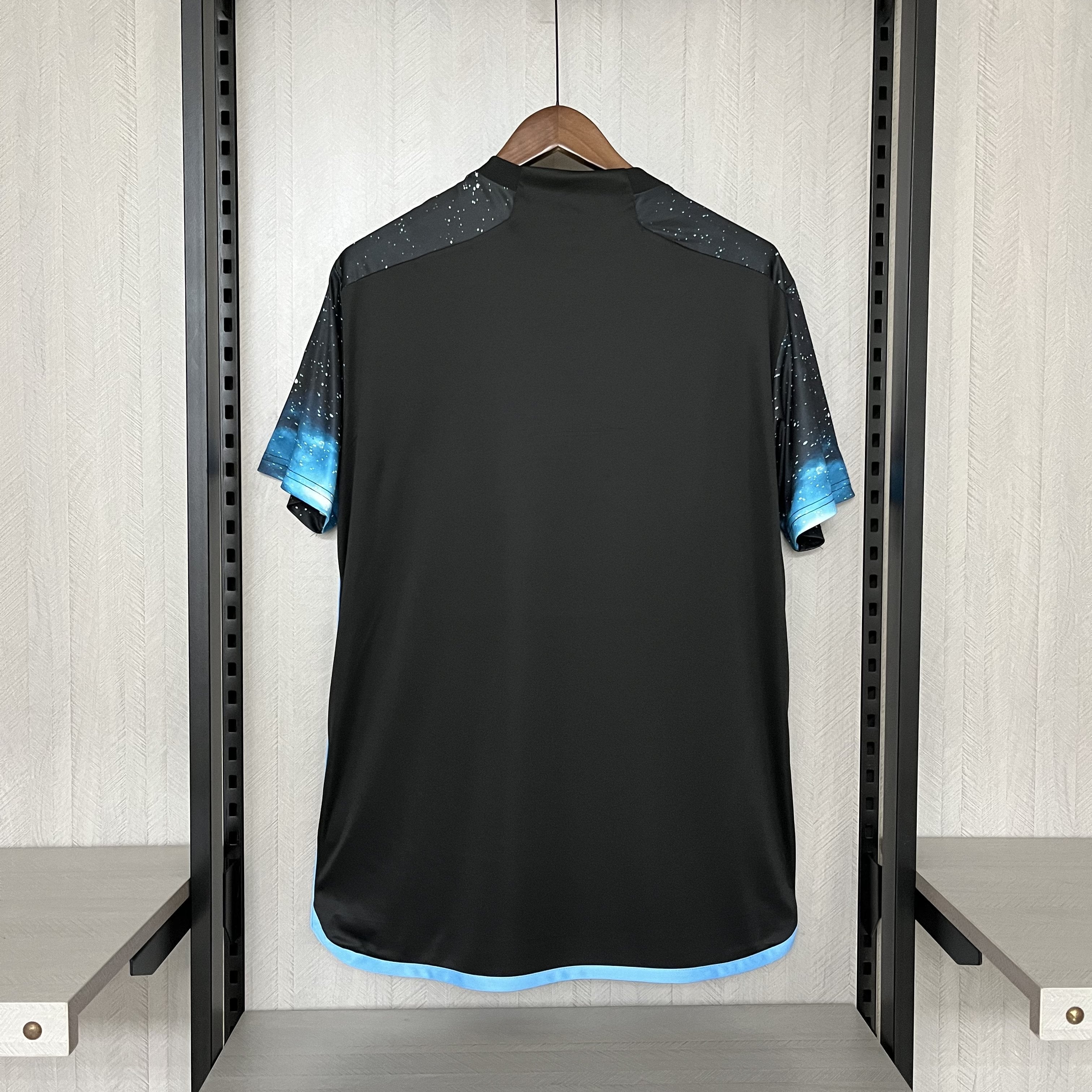 2024-25 Minnesota Home