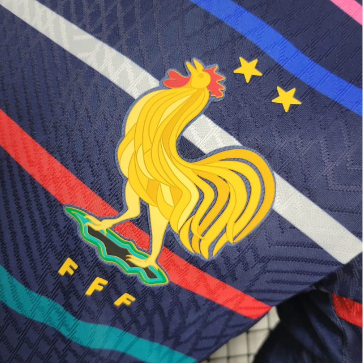 2024-25 Player France Training Size