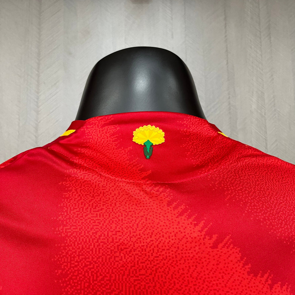 Versión del jugador local de España 2024-25