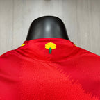 Versión del jugador local de España 2024-25