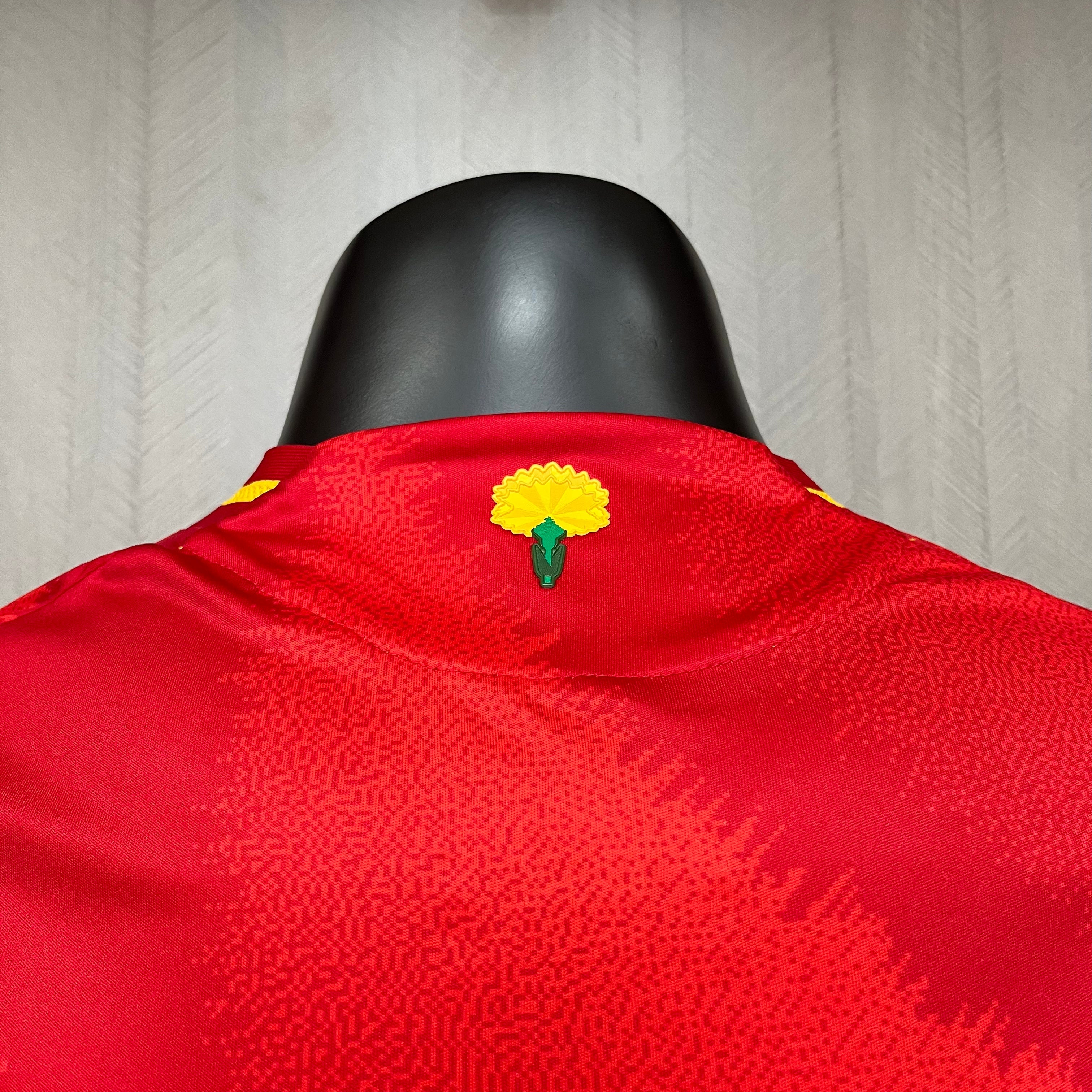 Versión del jugador local de España 2024-25