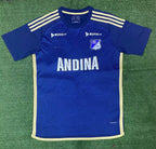 Hoffenheim 2024-25