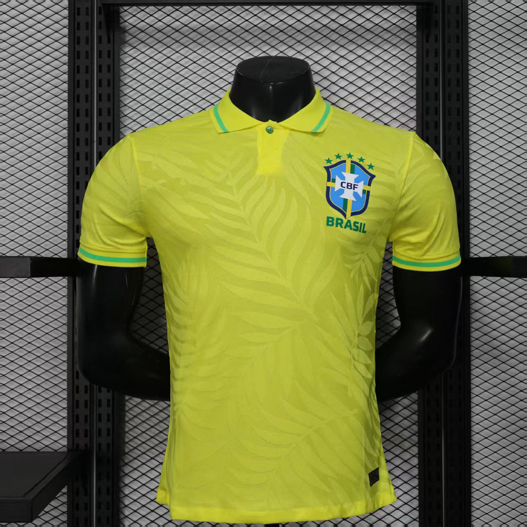 2025-26 Brazil Special Payer