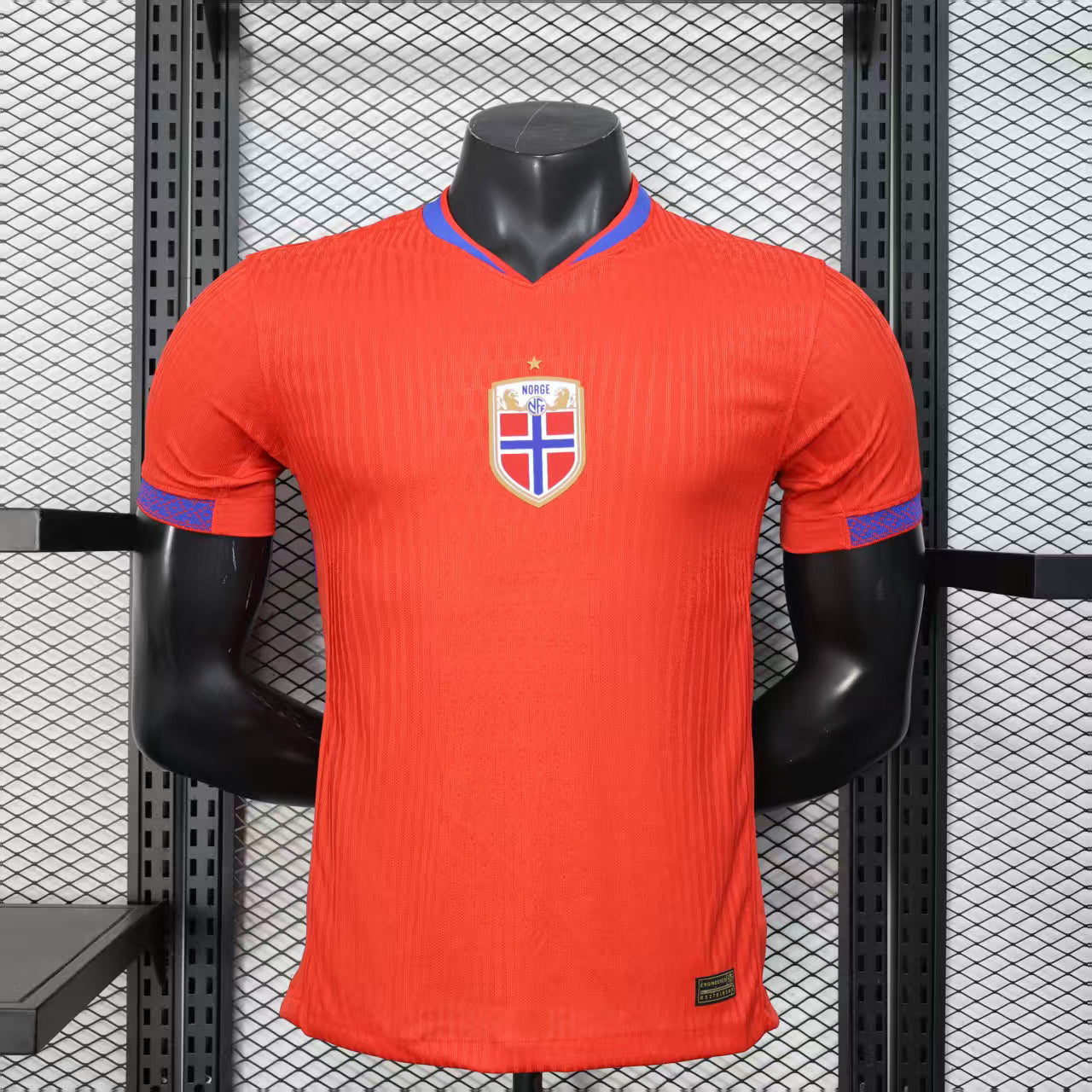Norwegen Heimspiel 2025/26 – Spielerversion