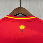 2024-25 Spain Home