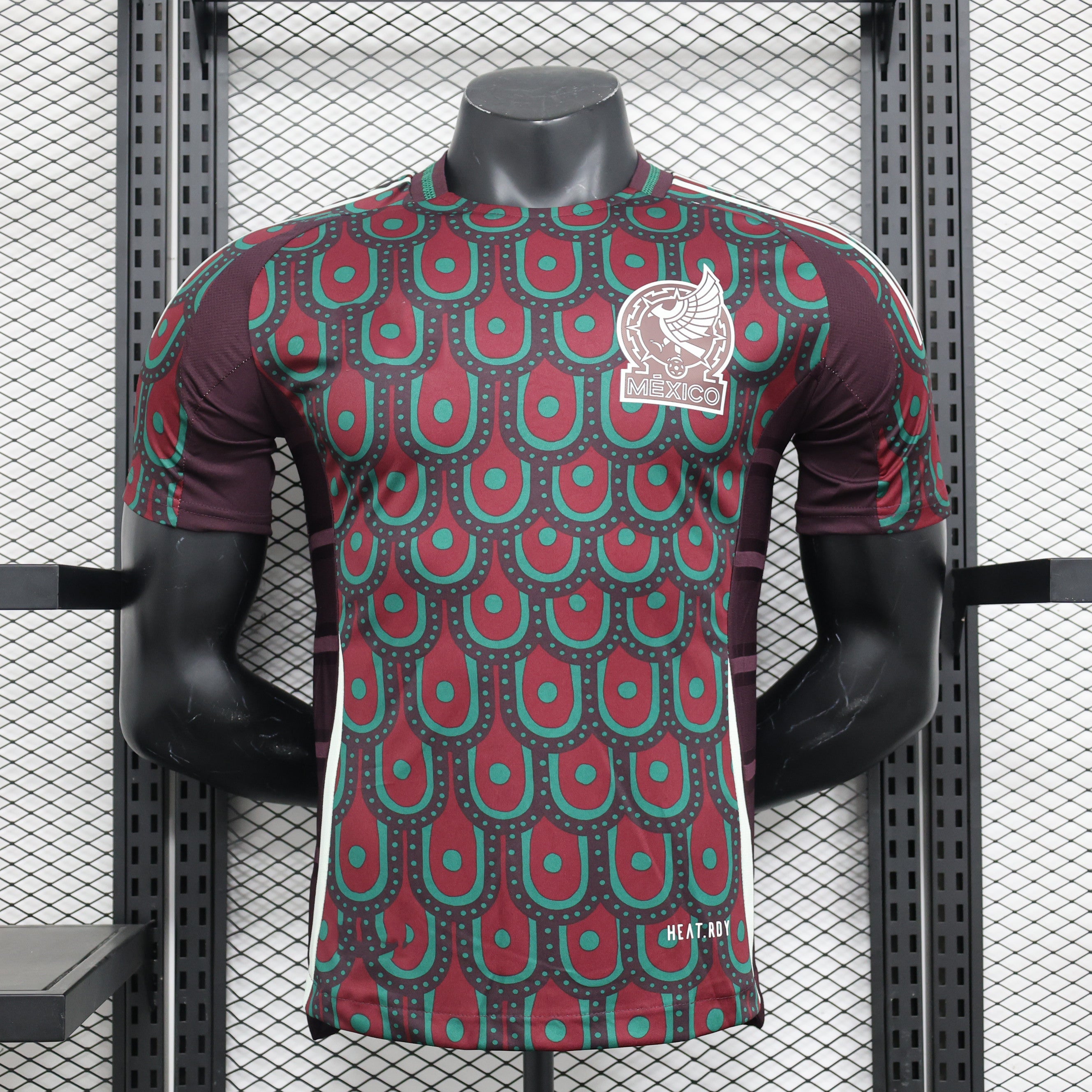 2024-25 Mexico Home Player