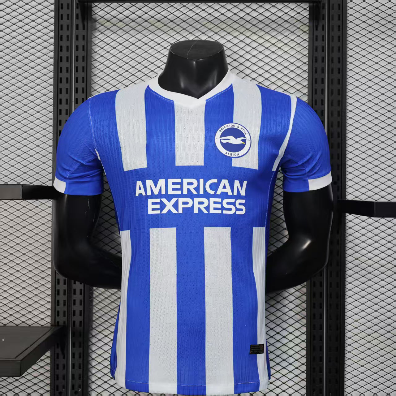 2025-26 Brighton Home Player
