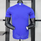 Versión de jugador visitante de Argentina 2024