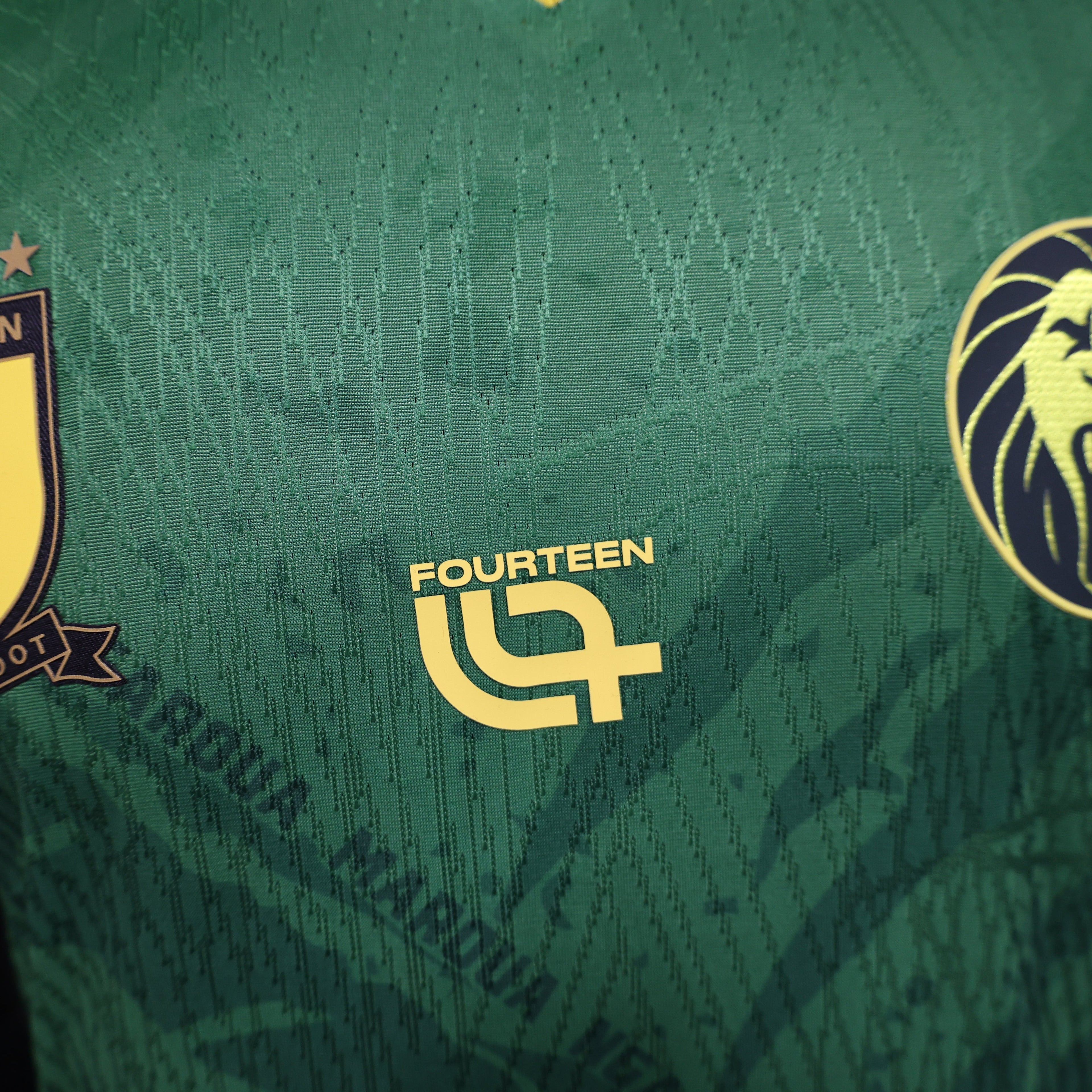 2025-26 Cameroon Green Player Version