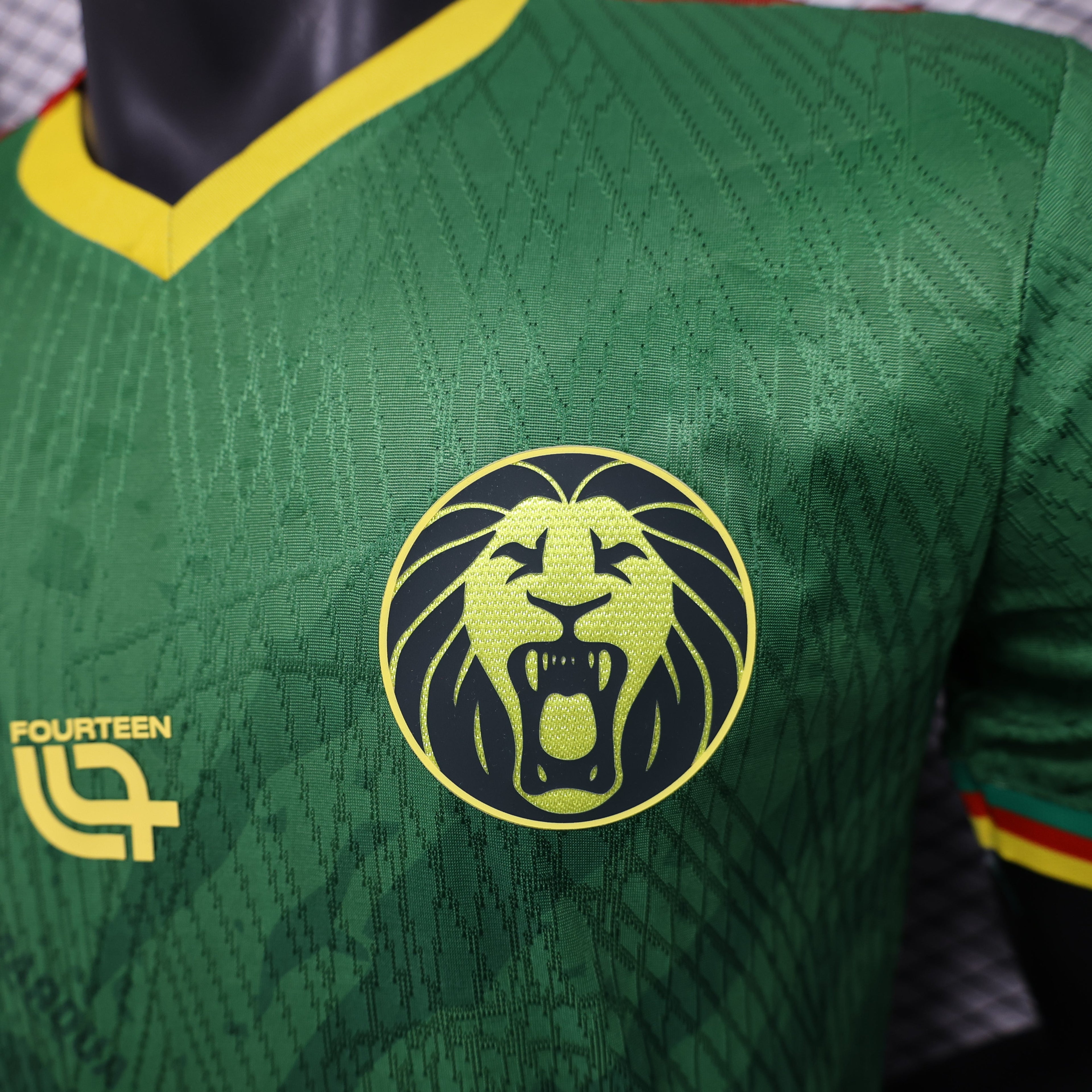 2025-26 Cameroon Green Player Version