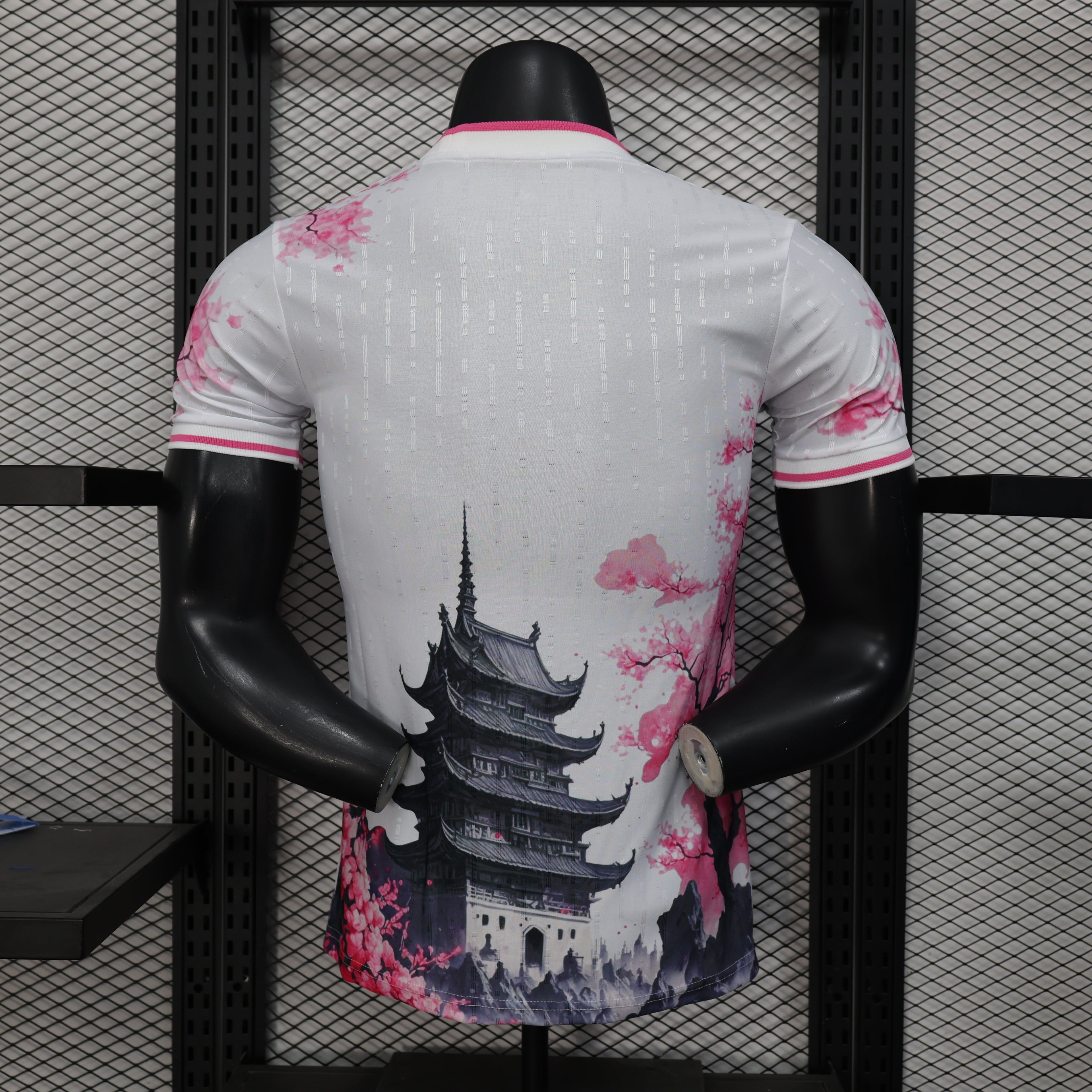 2025-26 Japan Special Player