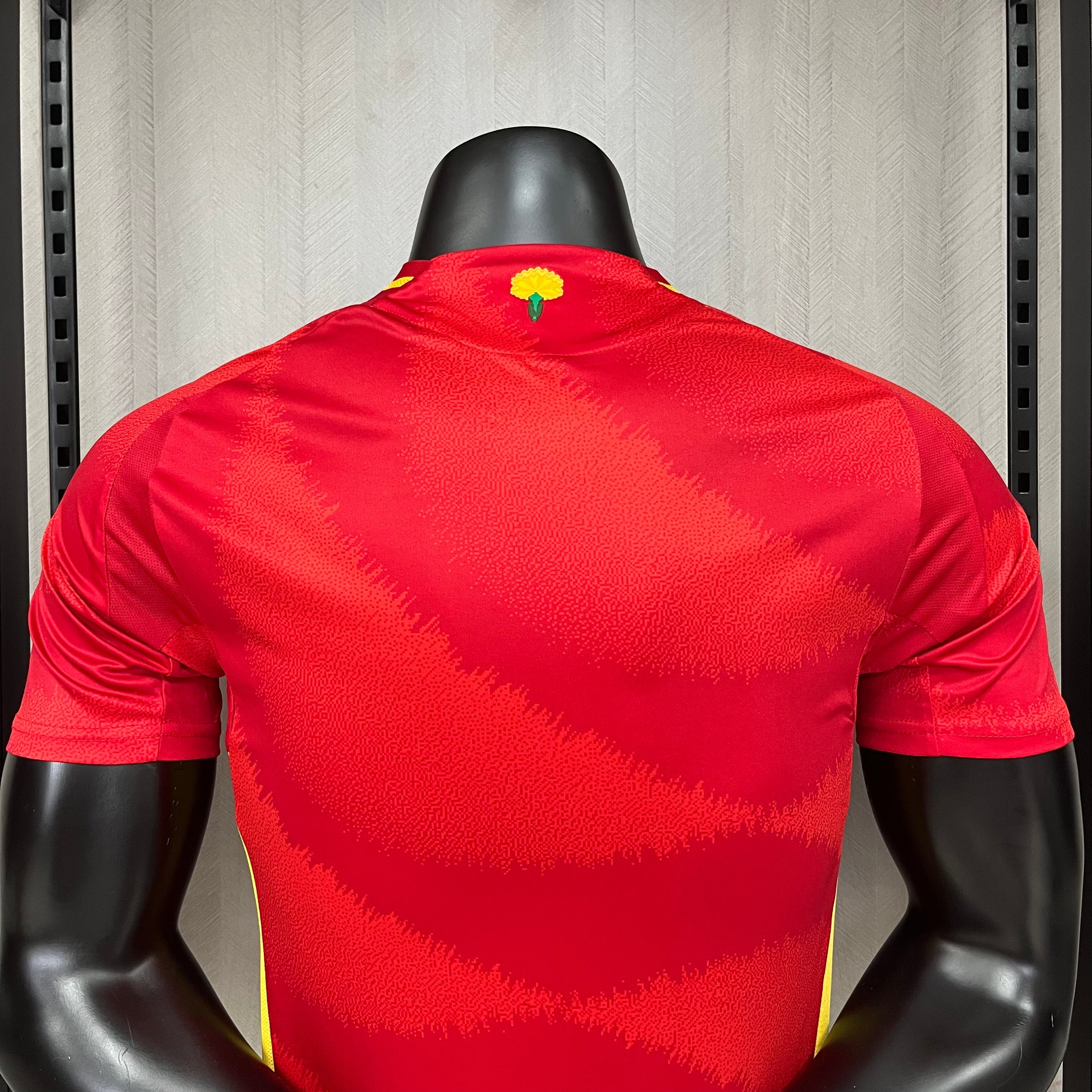 Versión del jugador local de España 2024-25