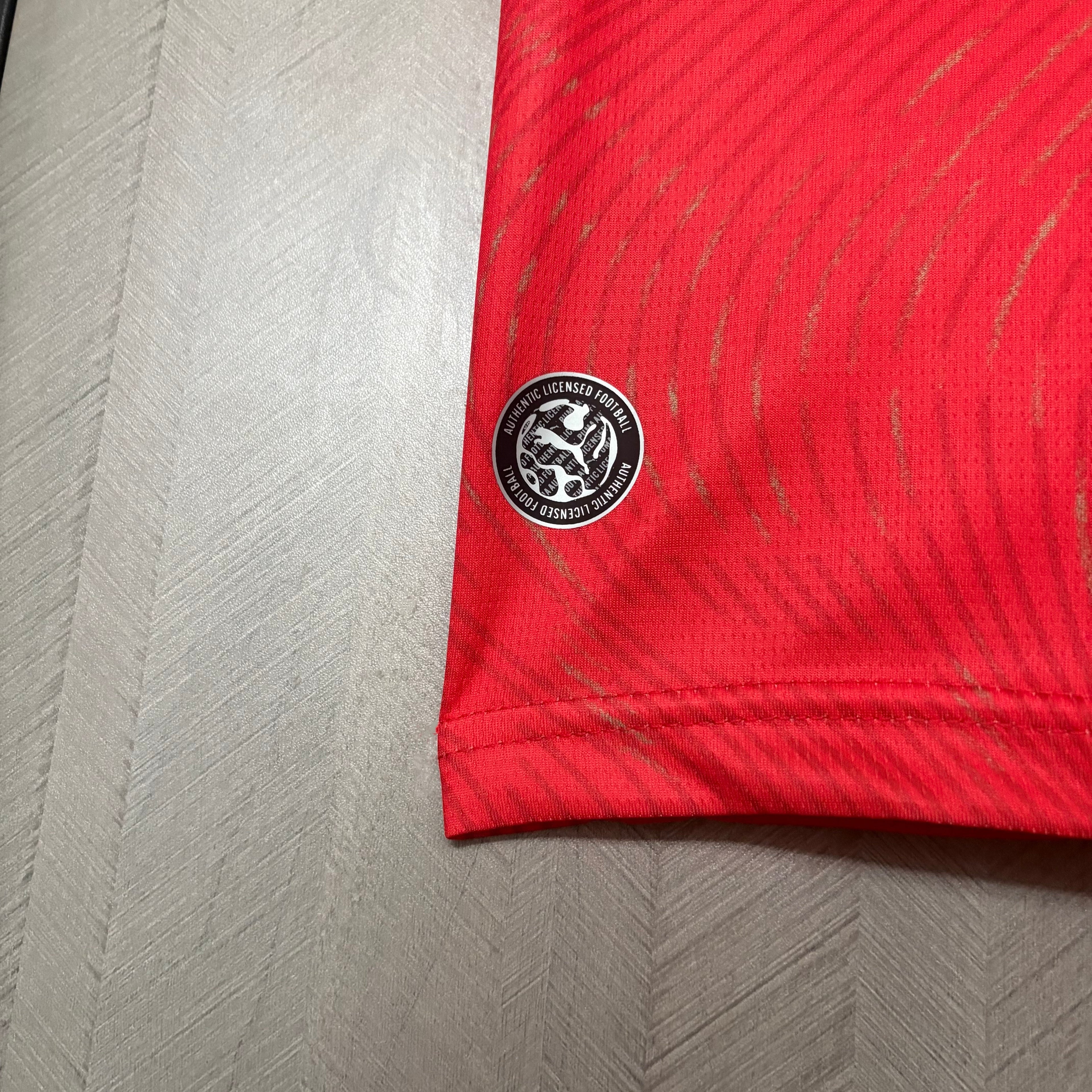 Versión para aficionados de Suiza 2026-27