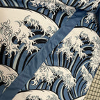 Edición especial de Japón 2024