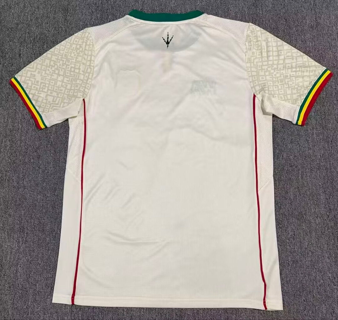 2026-27 Mali Home Fan Version