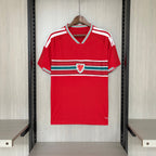 2026-27 Wales Home Fan Version