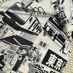 Edición especial de Japón 2024