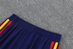 2026-27 Spain Blue Training Suit