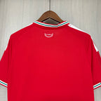 2026-27 Wales Home Fan Version