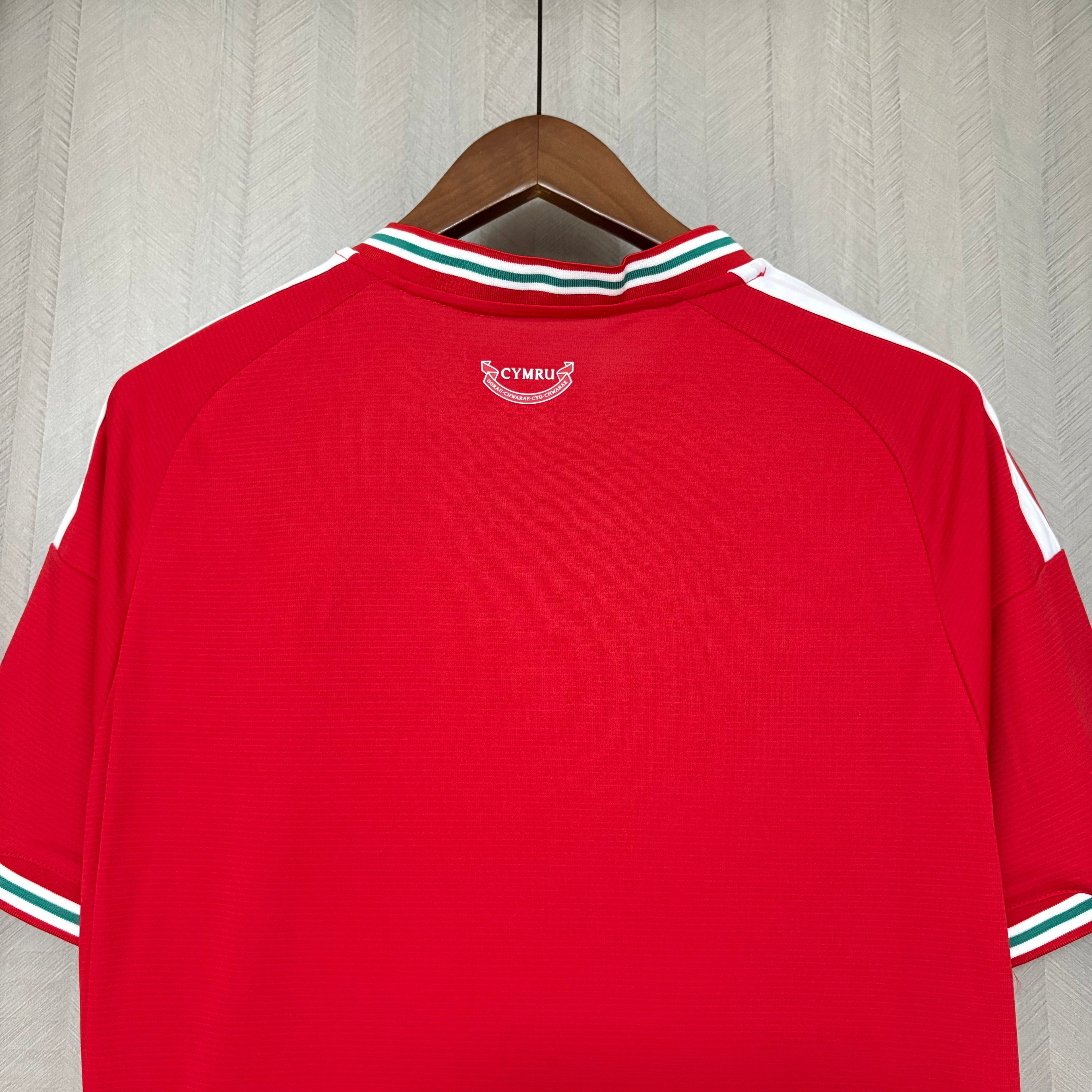2026-27 Wales Home Fan Version