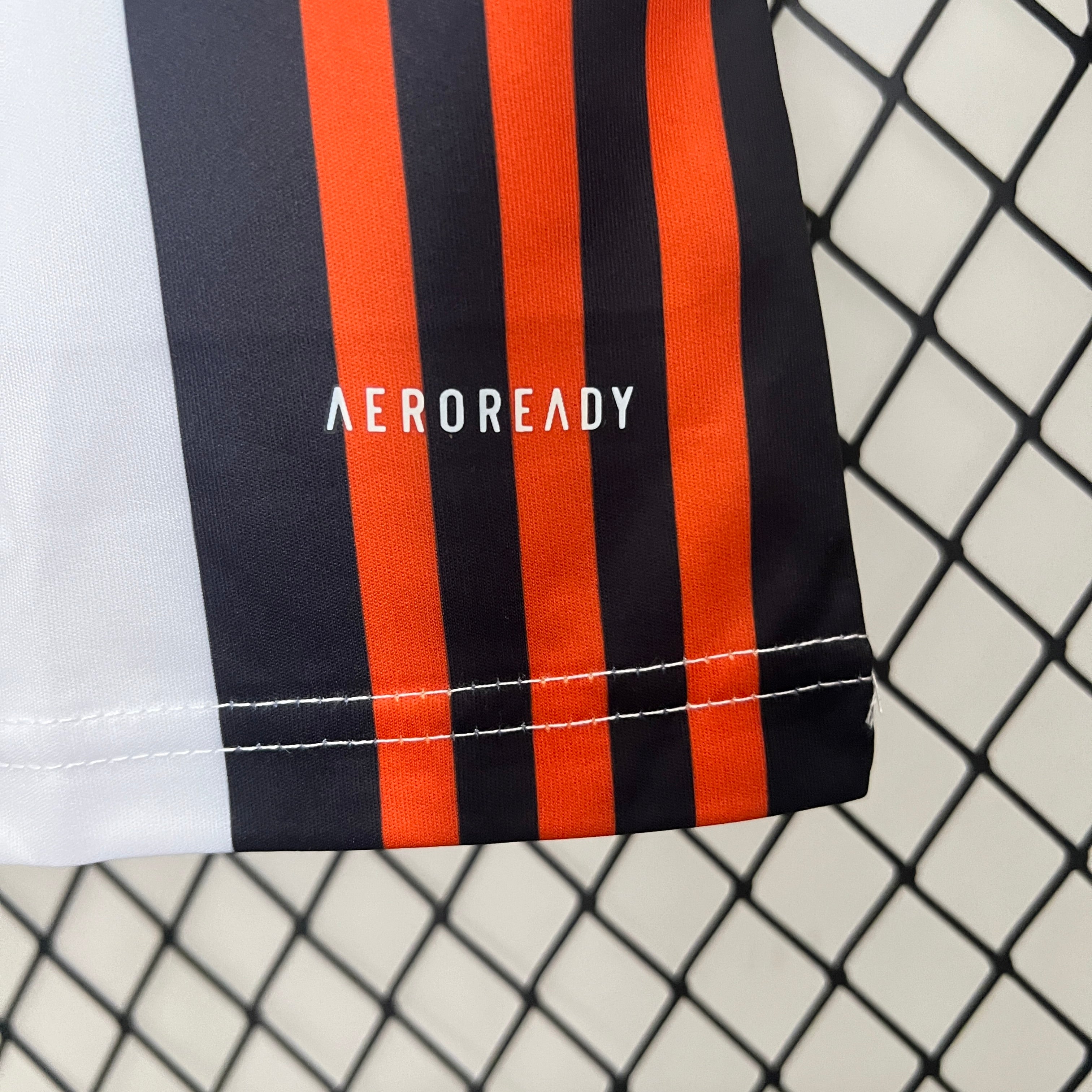 2024 Japan Special Edition