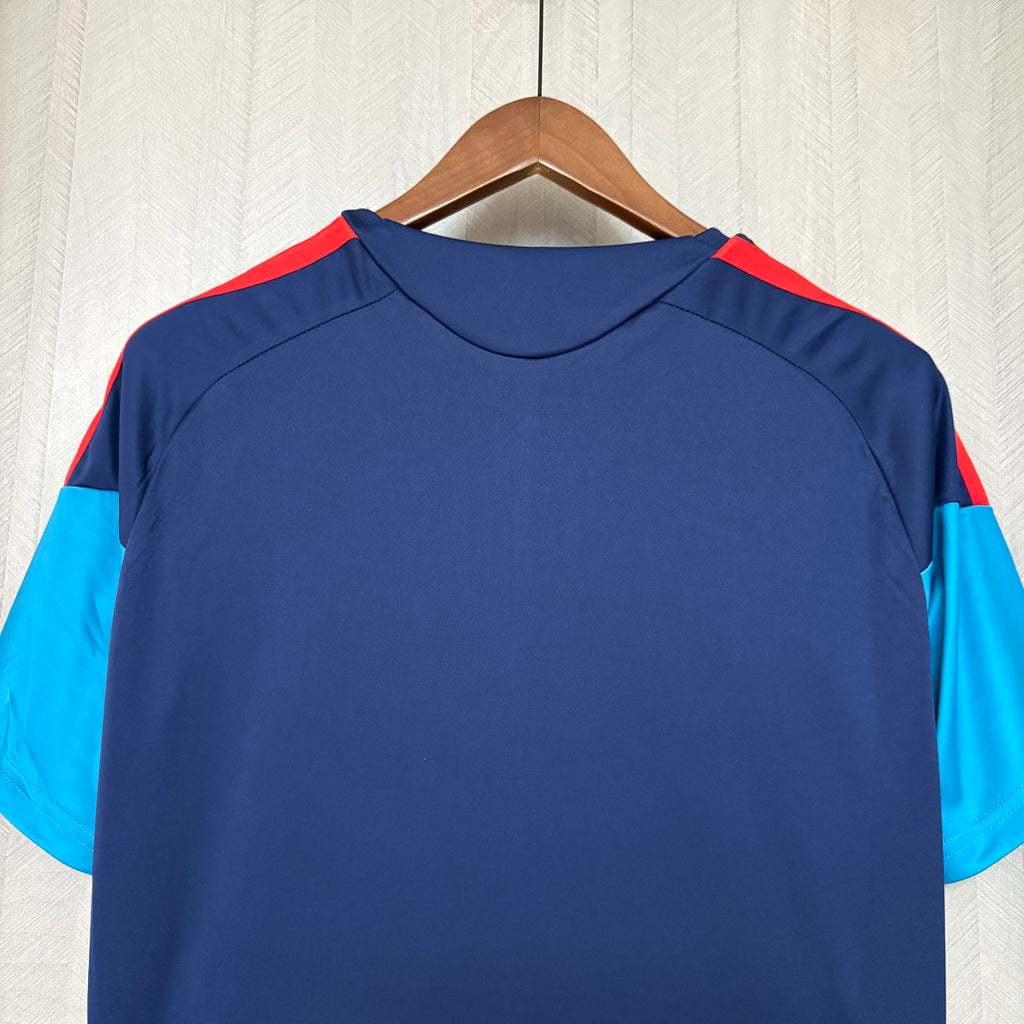 2026-27 Spain Blue Special Fan Version