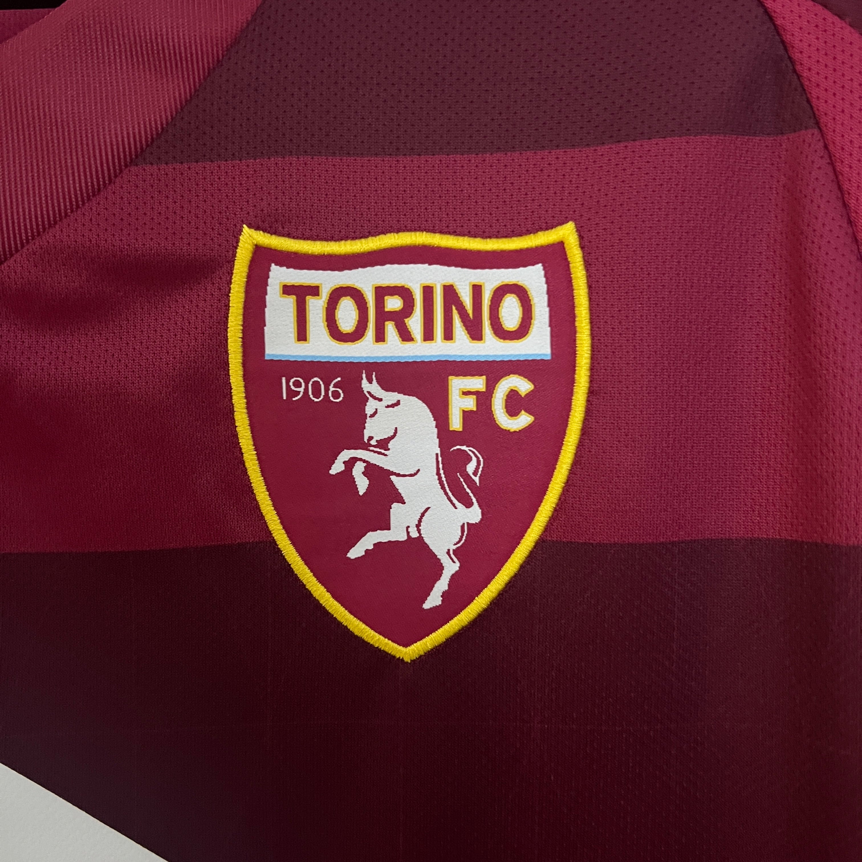 2024-25 Torino Home