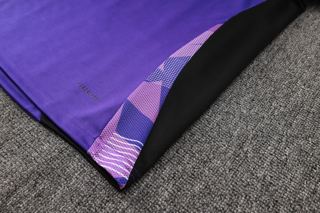 2024-25 German purple training suit
