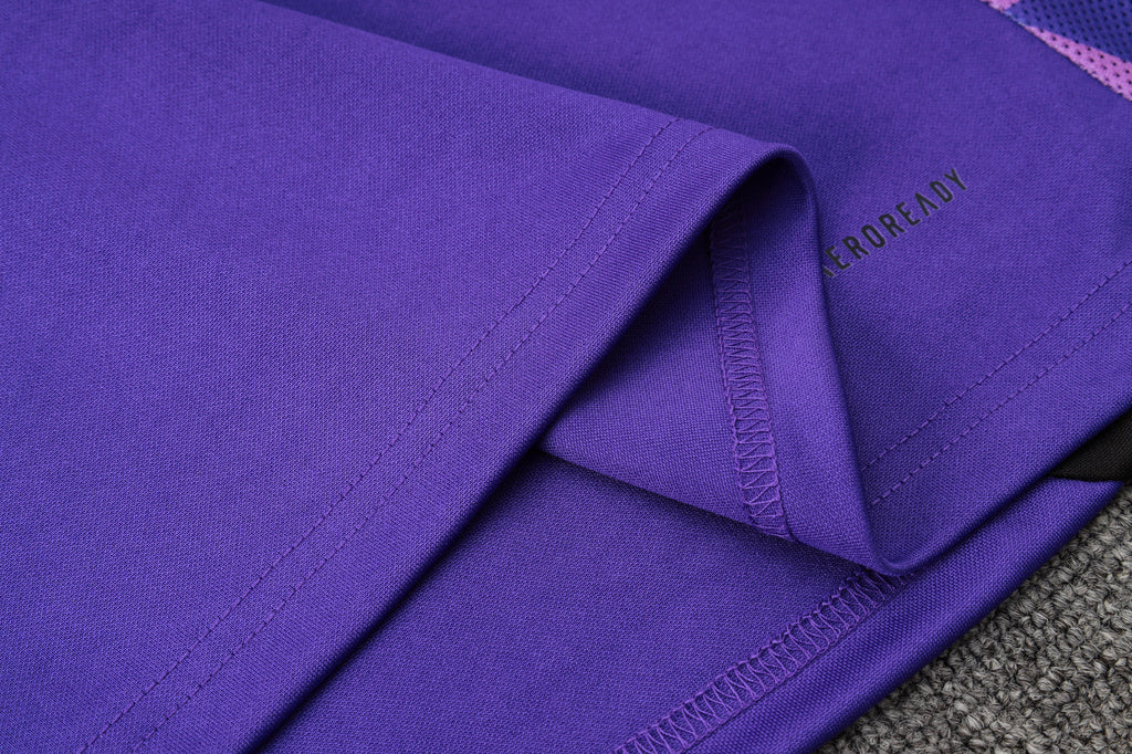 2024-25 German purple training suit