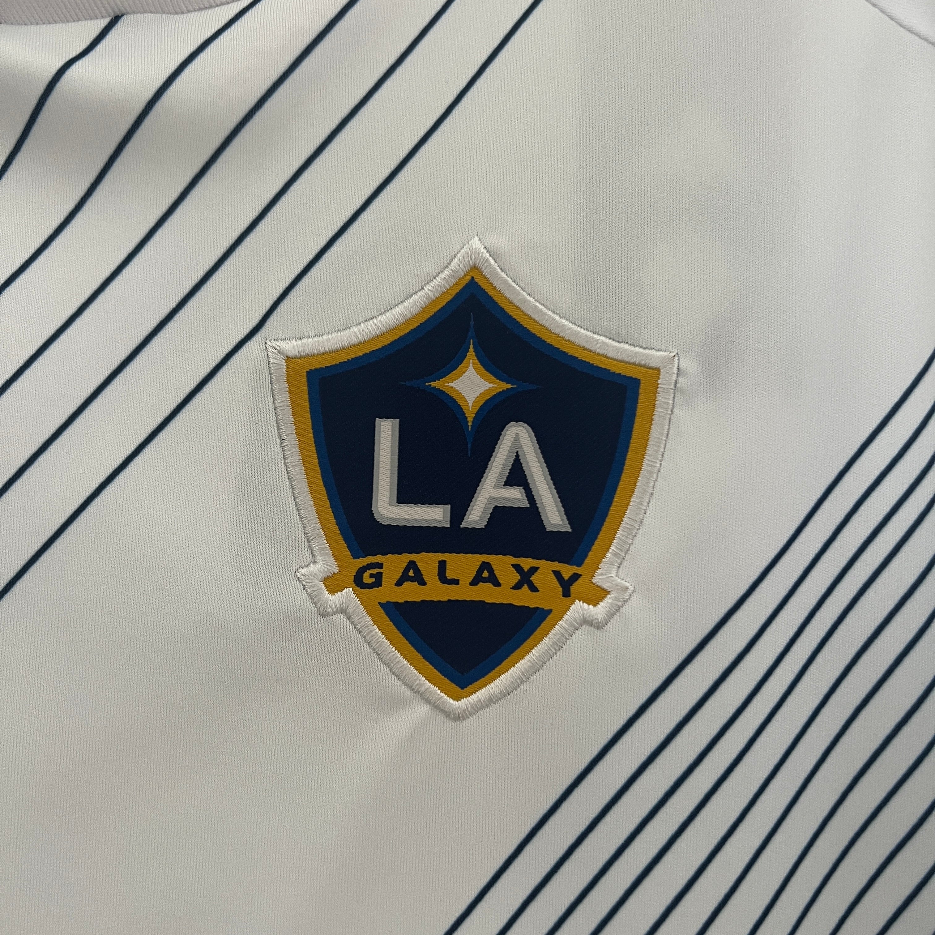 2024-25 Galaxy Los Angeles Home
