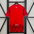 2025-26 Lille OSC Home Fan Version