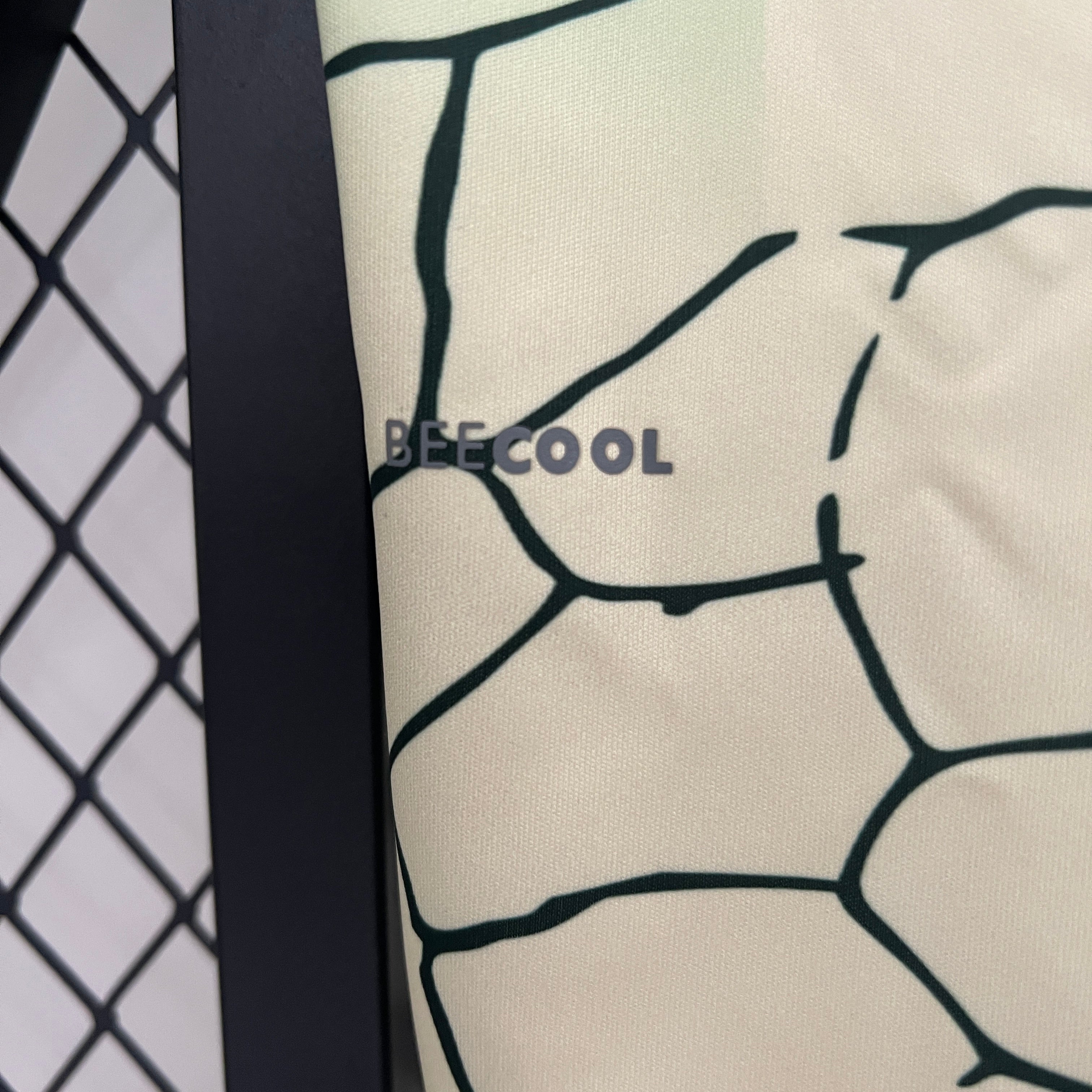 2024-25 Real Betis Special Edition