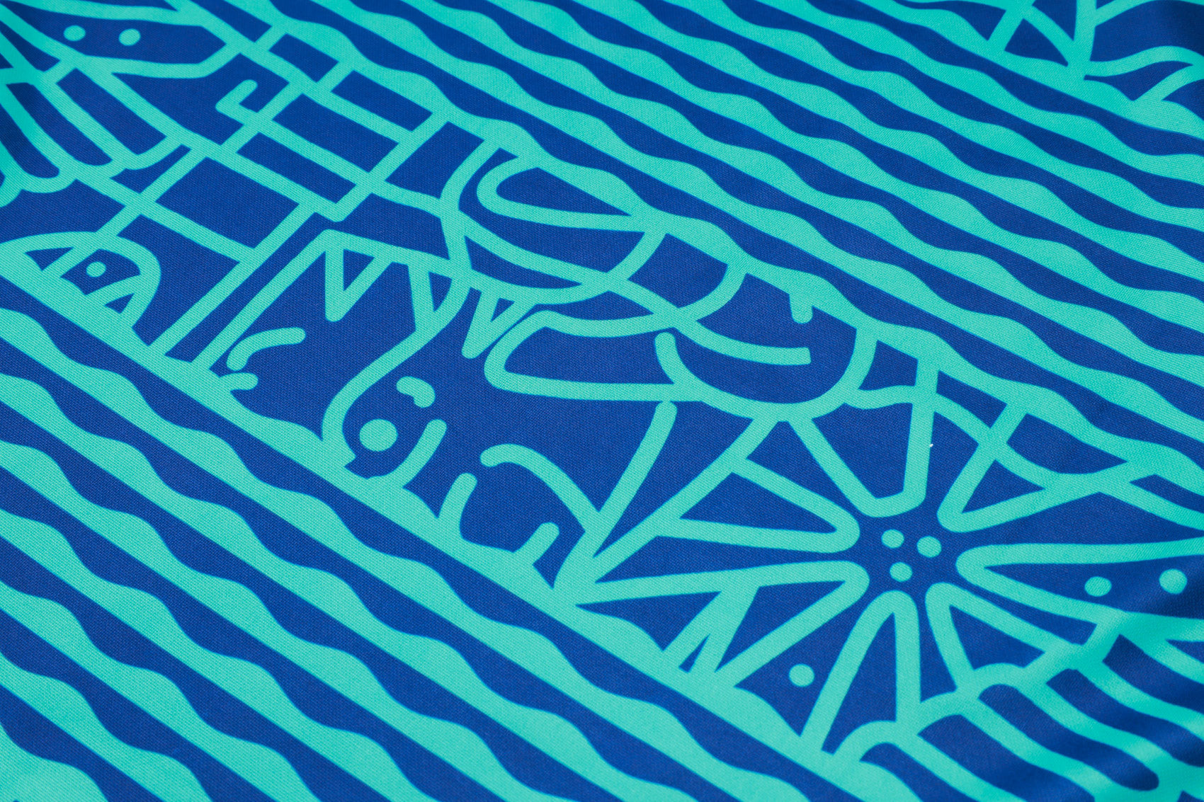 2024-25 Brazilian Royal Blue Inkjet Training Suit