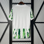 2025-26 Nigeria Heimversion für Fans