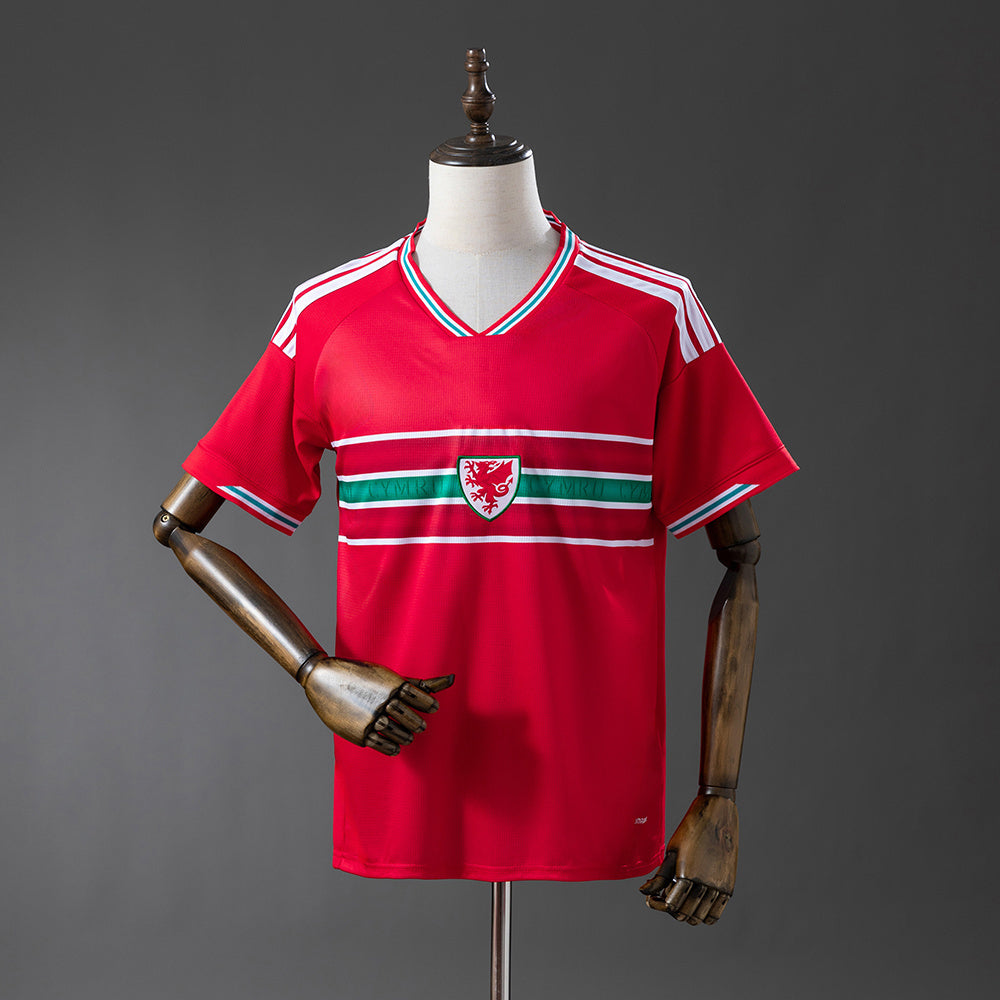 2026 Wales Home Fan Version
