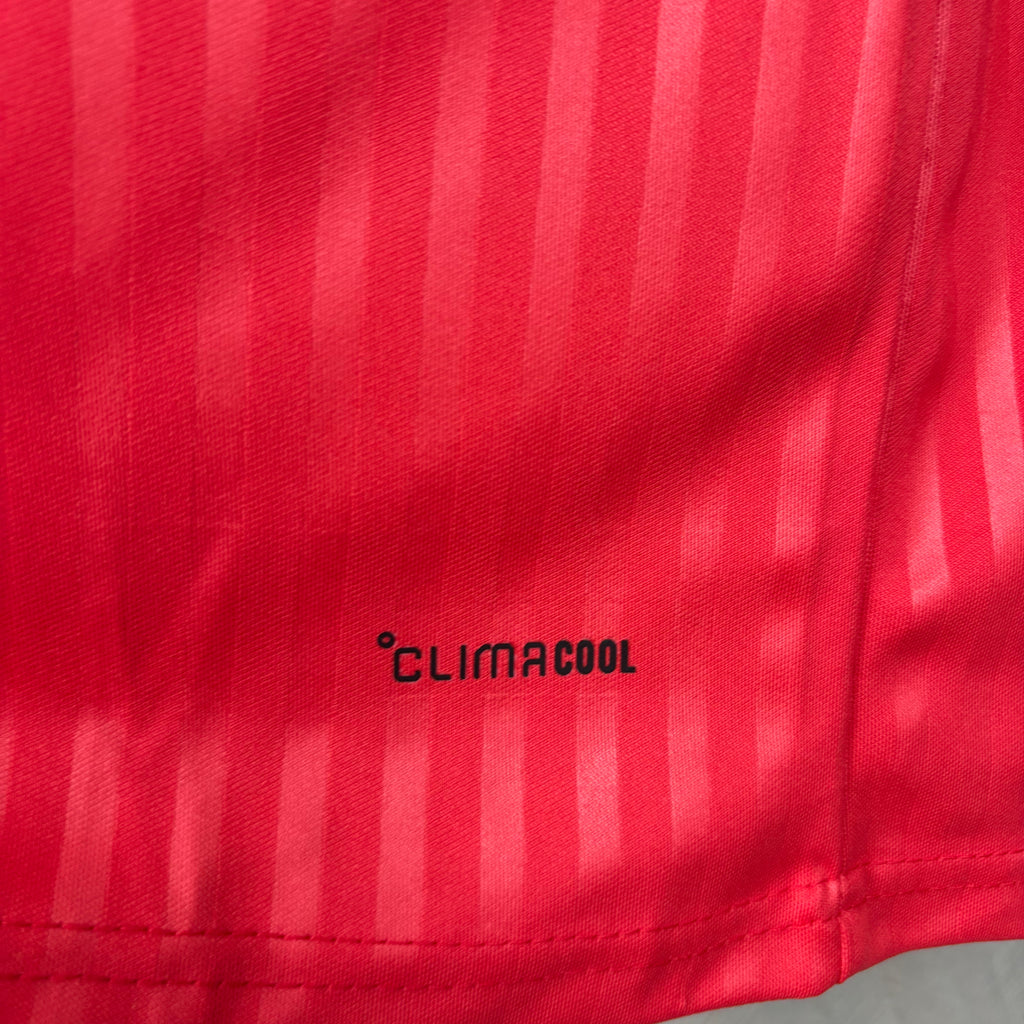 2026-27 Lyon Away Fan Version