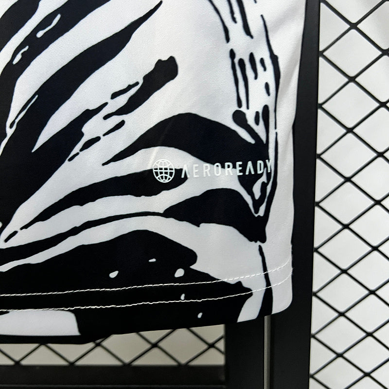 2024-25 Japanese Anime Special Edition