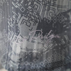 2025-26 Argentina Special Black Player Version